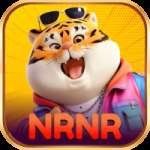 nrnr King - Win Real BRL